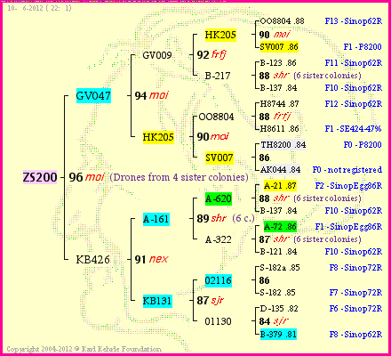 Pedigree of ZS200 :
four generations presented