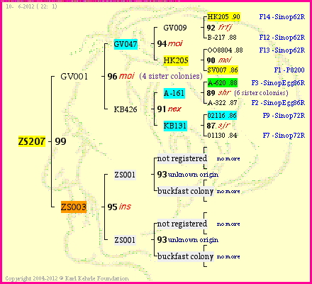 Pedigree of ZS207 :
four generations presented