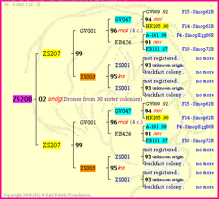 Pedigree of ZS208 :
four generations presented