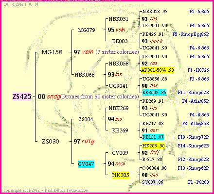 Pedigree of ZS425 :
four generations presented